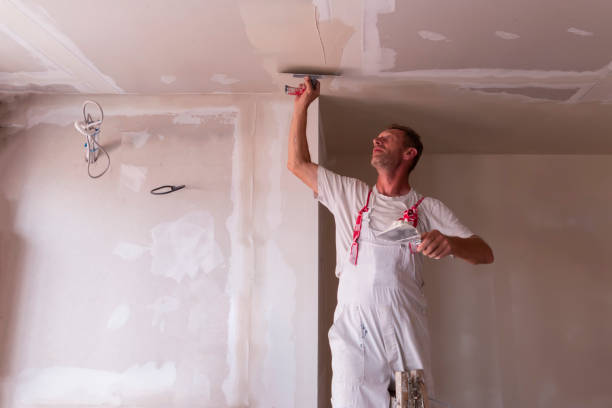 Best Fire-Damaged Drywall Repair  in San Joaquin, CA